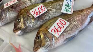 道の駅笠岡ベイファーム直売所鮮魚コーナー10／26