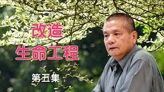 改造生命工程  （第五集)   陈明安老师  讲 《智慧的教育》  [唯佛宗世界人乘佛教]