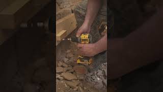 DeWALT DCD800 shorts