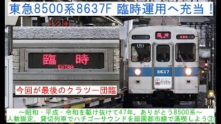 【東急8500系8637Fが臨時運用へ充当！】 ～昭和・平成・令和を駆け抜けて47年。ありがとう8500系～ 人数限定、貸切列車でハチゴーサウンドを田園都市線で満喫しよう③