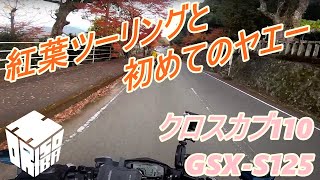 【GSX-S125】佐賀県多久市へクロスカブと行く紅葉ツーリングで初ヤエーにも挑戦！【クロスカブ110】