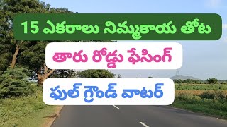 15 ఎకరాలు నిమ్మకాయ తోట అగ్రికల్చర్ ల్యాండ్ ఫర్ సేల్ please subscribe 8897702061