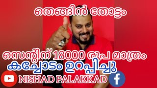 #NP772#കുറഞ്ഞ വിലയിൽ അടിപൊളി തെങ്ങിൻ തോട്ടം വില്പനക്ക്#സെന്റിന് 18000 മാത്രം#Low price land for sale