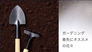 【ポリリズム オルゴールver】ガーデニングにオススメの花々の画像集（春の花編）