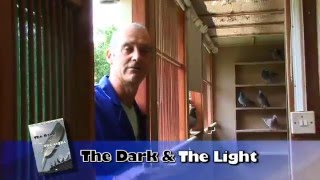 Pigeon Racing: Dark \u0026 Light, Schaerlaeckens \u0026 Best of British Promo