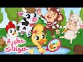 حظيرة الحيوانات | قناة كيدززز