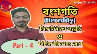 মানুষের লিঙ্গ নির্ধারণ পদ্ধতি ও বিভিন্ন জিনগত রোগ । বংশগতি (Heredity)। দশম শ্রেণি । Class 10।WBBSE।