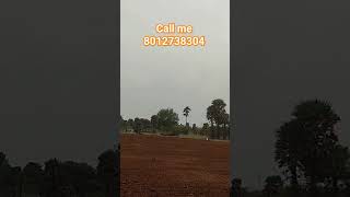 உடுமலை டு பல்லடம் மெயின் ரோட்டில் இருந்து இரண்டாவது பூமி #land #farm #realestate