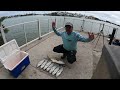 pescando el bluefish de orilla en west palm beach