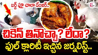 Bird Flu Latest News Update | చికెన్ తినొచ్చా? లేదా ? |  Red Alert in AP | @sumantvtirupathi