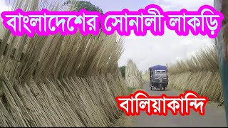 Travel to Samadhinagar from Baliakandi in Rajbari district. বালিয়াকান্দি থেকে সমাধিগর পথে।