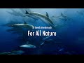 David Attenborough - For All Nature