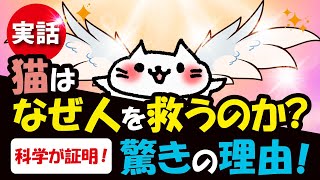 猫が人を救う理由が科学で証明！知られざる感動の真実