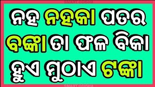 ନହ ନହକା ପତର ବଙ୍କା ତା ଫଳ ବିକା ହୁଏ ମୁଠାଏ ଟଙ୍କା Odia dhaga || Intresting Funny Q \u0026 A|| SMARTODISHA ||