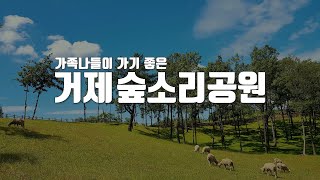 거제도 여행 거제중부권 양떼목장 숲소리공원 랜선여행_드론촬영