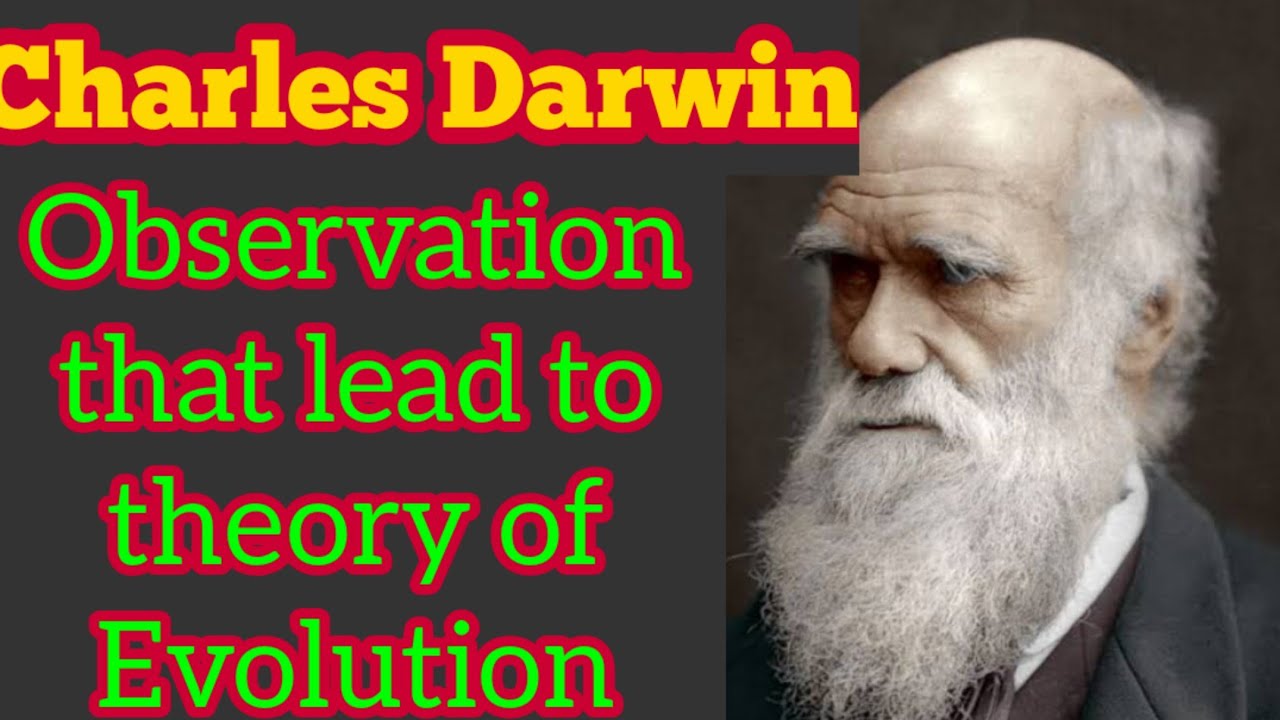 Charles Darwin | Observation For Theory Of Evolution | Biology 12th ...