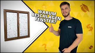 Beschlagene Fenster – die häufigsten Ursachen und Möglichkeiten zur Lösung des Problems