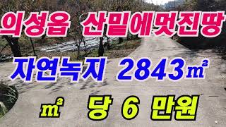 시퀀스 02의성읍산밑에멋진땅(물건번호136)의성읍멋진땅2843㎡/㎡당6만원