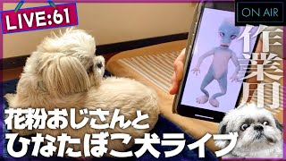 ライブ61.花粉おじさんとひなたぼこ犬 2021/03/19