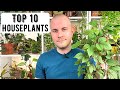 Top 10 Houseplants | 2021