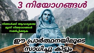 നിങ്ങൾക്ക് ആവശ്യമായ മൂന്ന് നിയോഗങ്ങൾ സമർപ്പിക്കുക 24/12/24 #kripasanam  #kreupasanam #കൃപാസനം