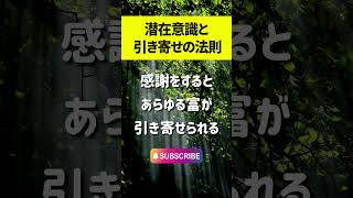 【マーフィーの法則】感謝をするとあらゆる富が引き寄せられる  #Shorts  #引き寄せの法則 #アファメーション #瞑想