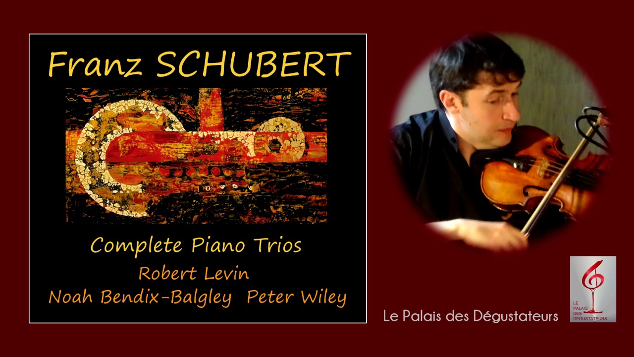 FRANZ SCHUBERT - Trio En Si Bémol Majeur, D 28 "Sonatensatz" - YouTube