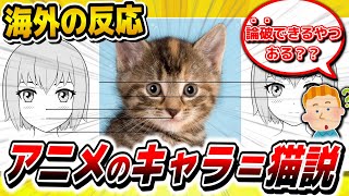 【海外版2ch面白スレ】海外ニキ、アニメキャラ＝猫の顔という真実にたどり着いてしまう