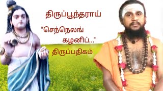 42.செந்நெலங் கழனி |திருப்பூந்தராய் | திருஞானசம்பந்தர் தேவாரம் | திருமுறைத் தமிழாகரன்