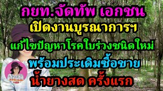 กยท.จัดทัพนำทีม เปิดงานบูรณาการฯแก้ไขปัญหาโรคใบร่วงชนิดใหม่ในยางพารา