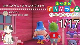 【あつ森ハピパラ】ほしのかけらプレゼント、希望者は島に招待します＆夢番地をコメントで、島の招待パスワードはXのDMで送ってくれたら行きます【あつまれどうぶつの森ハッピーホームパラダイス】ネタバレ注意