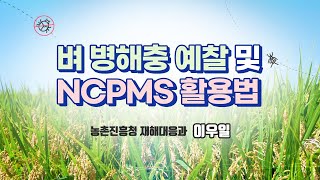 01. 벼 병해충 예찰 및 NCPMS 활용법