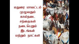 மதுரை மாவட்டம் கால்நடை சந்தைகள்/ madurai cow market /மதுரை கால்நடை சந்தைகள் /மதுரை மாட்டு சந்தைகள்