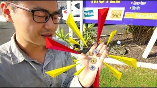 快来捡钱吧（新西兰 Harold Vlog 275）