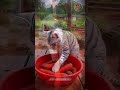 A day in life of a catuman #catshorts  #aicats #aianimals #aivideo #aiart #catsfunny #unbelievable