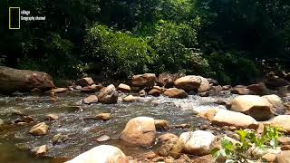 సాలూరు లో అందమైన జలపాతం. A waterfall in a beautiful tribal area in Salur. village geography channel