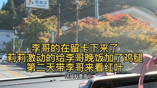 李哥的在留卡下来了 莉莉激动的给我加了鸡腿 第二天带我来看红叶