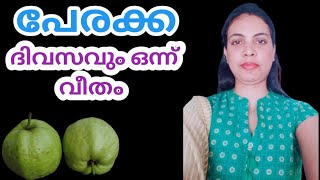 ദിവസവും ഒരു പേരക്ക കഴിച്ചാൽ||Guava In Malayalam||@ReenazBeautyCorner