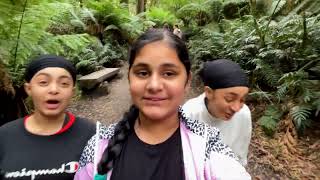 Otway Treetop | One of the Oldest forest & tallest Trees | Melbourne | Australia