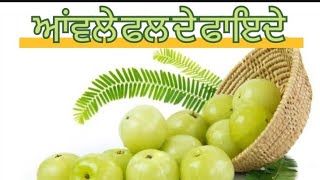 ਆਂਵਲੇ ਫਲ ਨੂੰ ਖਾਣ ਦੇ ਫਾਇਦੇ //Benefits of eating amla fruit #ayurveda #viral #viralreels #trending