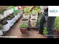 bgb chapter 6 container selection in urban gardening