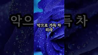 평소에 소신 것 행동하면 마음 편안하다좋은글 모음#좋은생각#스님말씀#마음다스리기#명언모음#인생명언#삶의지혜#감동글#어록#한줄명언#인생명언#인생글귀#짧은글#짧은글귀#짧은명언#오늘명언