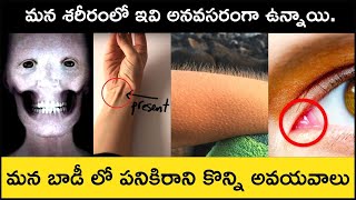 Top 8 Useless Body Parts That Humans No Longer Need in Telugu Badi | Vestigial Organs | Top 8 List