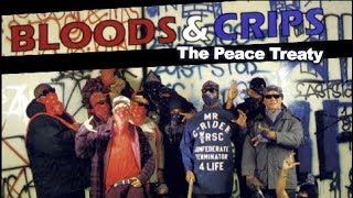 BLOODS \u0026 CRIPS: The Peace Treaty