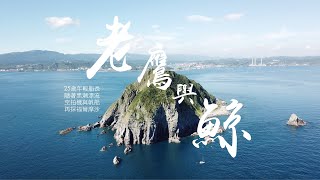 【海洋鏡頭】【老鷹 與 鯨】空拍與帆船，海洋教導我的事