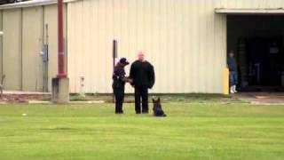 2010 USPCA National Trial - Criminal Apprehension with gunfire