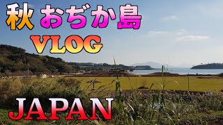 秋の五島列島小値賀島で、家族７人島ライフをエンジョイする！島でのVlog 記 【地方移住、離島移住】