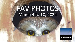 Fav Photos: March 4 to 10, 2024