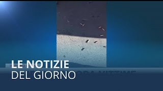 Le notizie del giorno | 29 ottobre - Pomeridiane