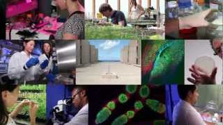 Salk Institute - Celebrating 50 years of Discovery